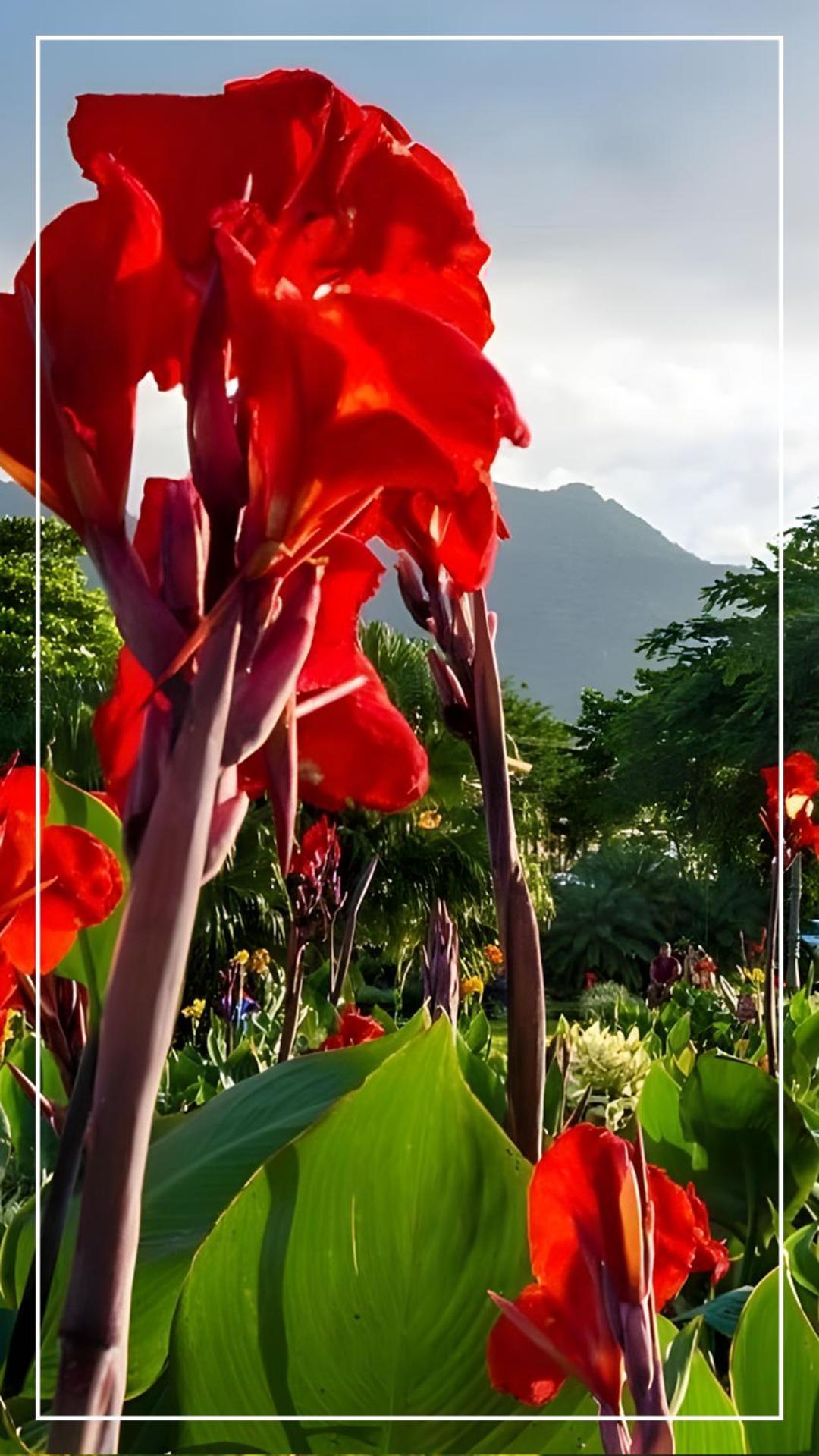 Destino Hotel & Hot Springs - Lujoso Hotel En Provincia Guanacaste, San Bernando De Bagaces, Bagaces Экстерьер фото