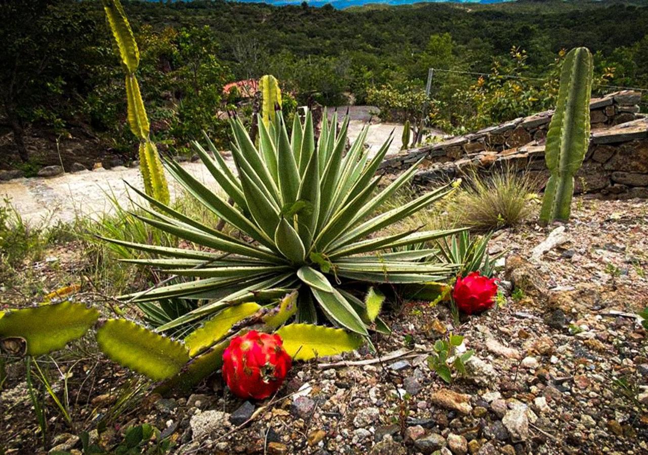 Destino Hotel & Hot Springs - Lujoso Hotel En Provincia Guanacaste, San Bernando De Bagaces, Bagaces Экстерьер фото